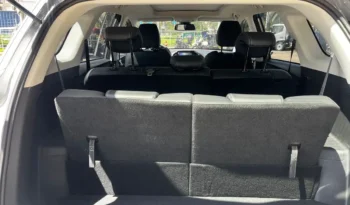 PHK081 CAPTIVA PREMIER AT lleno